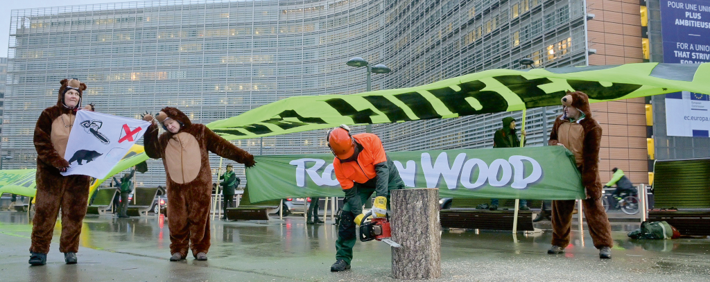 Februar 2020 in Brüssel aktiv: ROBIN WOOD protestierte gegen den Raubbau in rumänischen Urwäldern