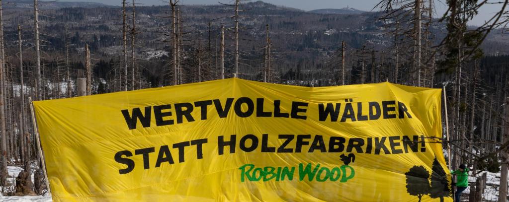 Menschen mit einem großen gelben Banner vor abgestorbenen Fichten im Harz.