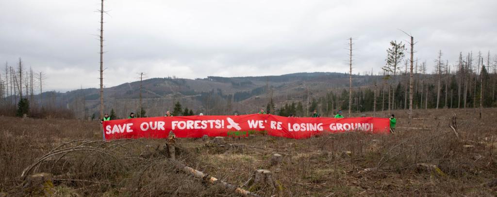 Menschen halten großes rotes Protestbanner auf kahler Waldfläche im Harz