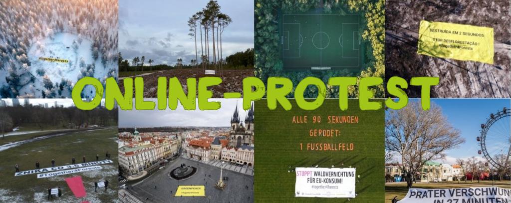 Transpi auf Fußballfeld Stopp Waldvernichtung für EU-Konsum