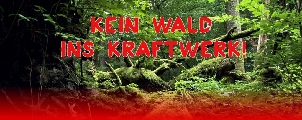 Kein Wald ins Kraftwerk!