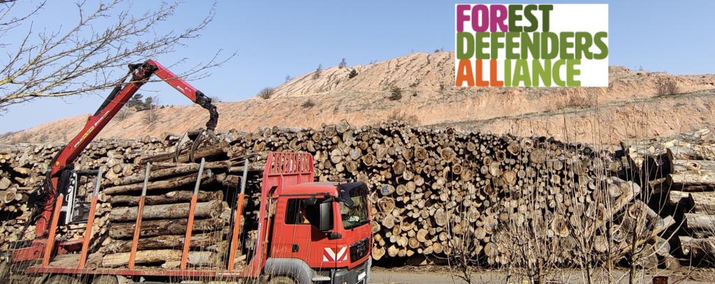 Holzpolter auf dem Gelände eines Holzbiomassekraftwerkes (Foto: ROBIN WOOD / Jana Ballenthien) großer Holzpolter