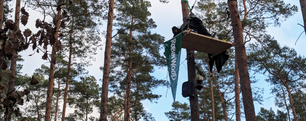 Baumplattformen hängen in Kiefern