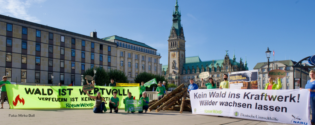 Aktive mit Protestbannern gegen Holzverbrennung vor dem Hamburger Rathaus