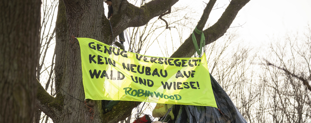 Gelbes Protestbanner in Baumkrone