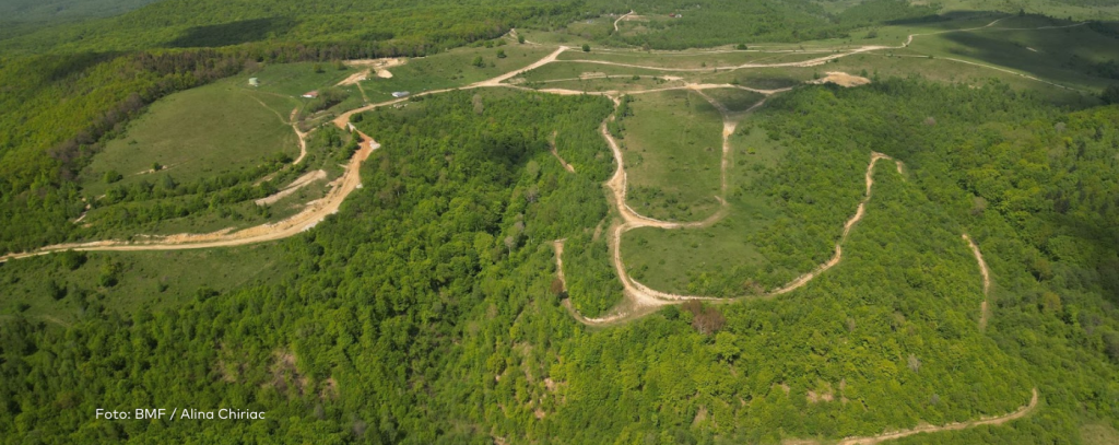 Schützenswerte Wald- und Graslandschaft in Rumänien