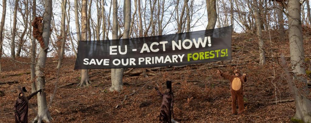 Menschen in Bären- und Baumkostümen vor einem Banner "EU - Act now! Save our Primary Forests!"